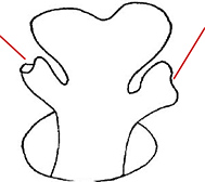 Familia Tetraodontidae_claves_04.jpg